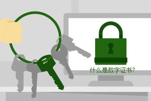 【身份与访问管理】数字证书认证系统安全114-安全在线-安全壹壹肆-网络安全黄页-网络安全百科网络安全百科-网络安全114-网络安全在线-网络安全黄页