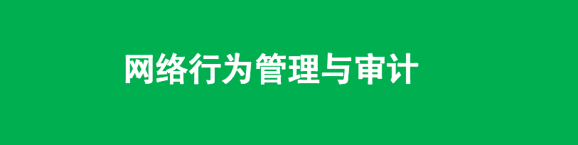 【网络基础架构安全】网络行为管理与审计系统